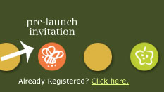 pre-launch invitation
